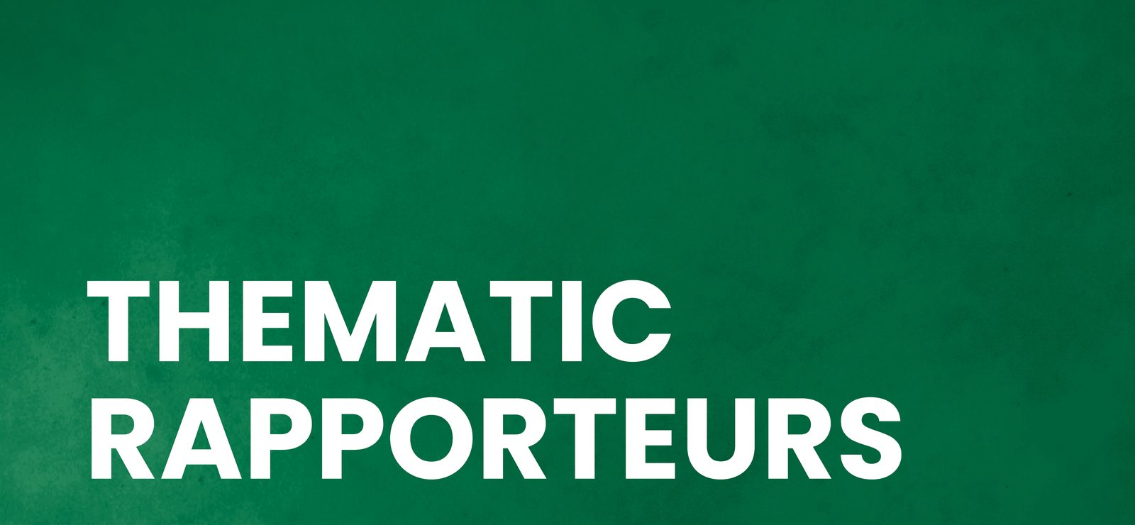 Thematic Rapporteurs