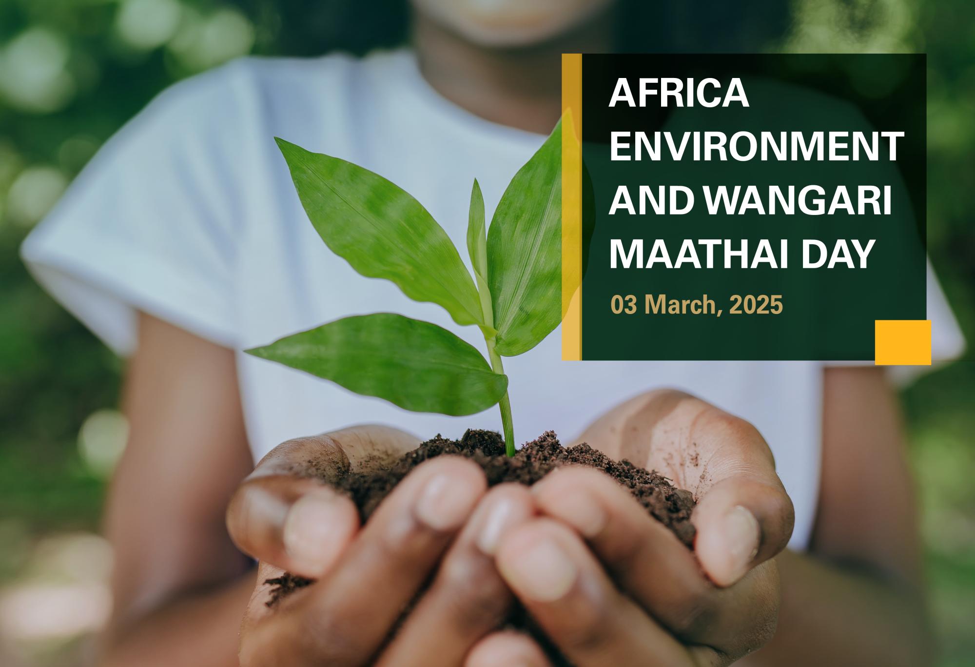 Africa Environment Day and Wangari Matthai Day