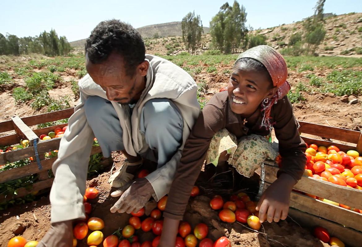 Day of Nurtition and food Security