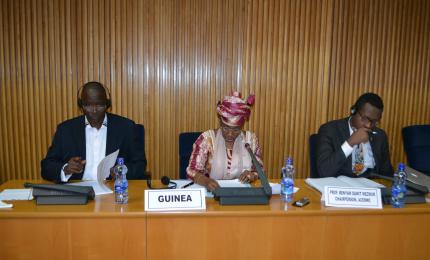 Commuique on Follow-up Mission on Concluding Observations in Guinea