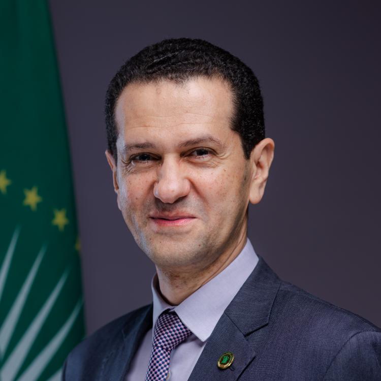 Hon. Wael Abdel-Razek